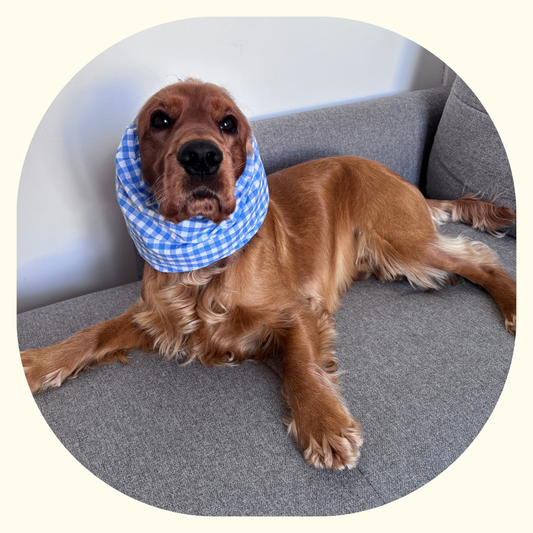 Snood - Vichy Bleu 💙