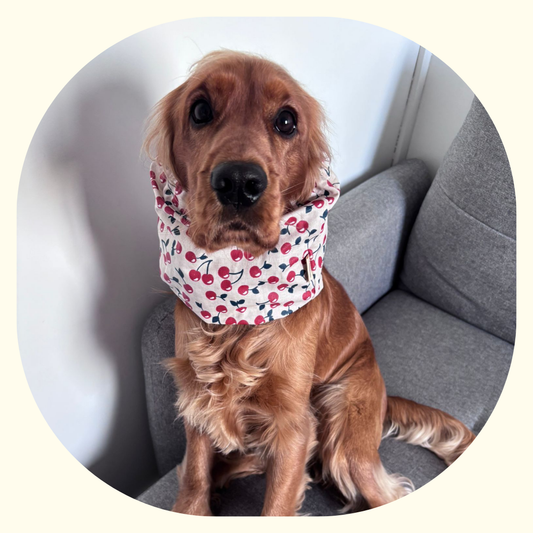 Snood imperméable - Cerise 🍒