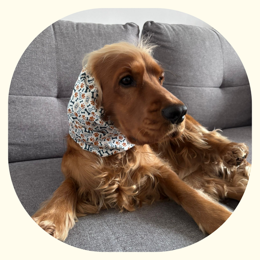 Snood imperméable - Dog 🐶