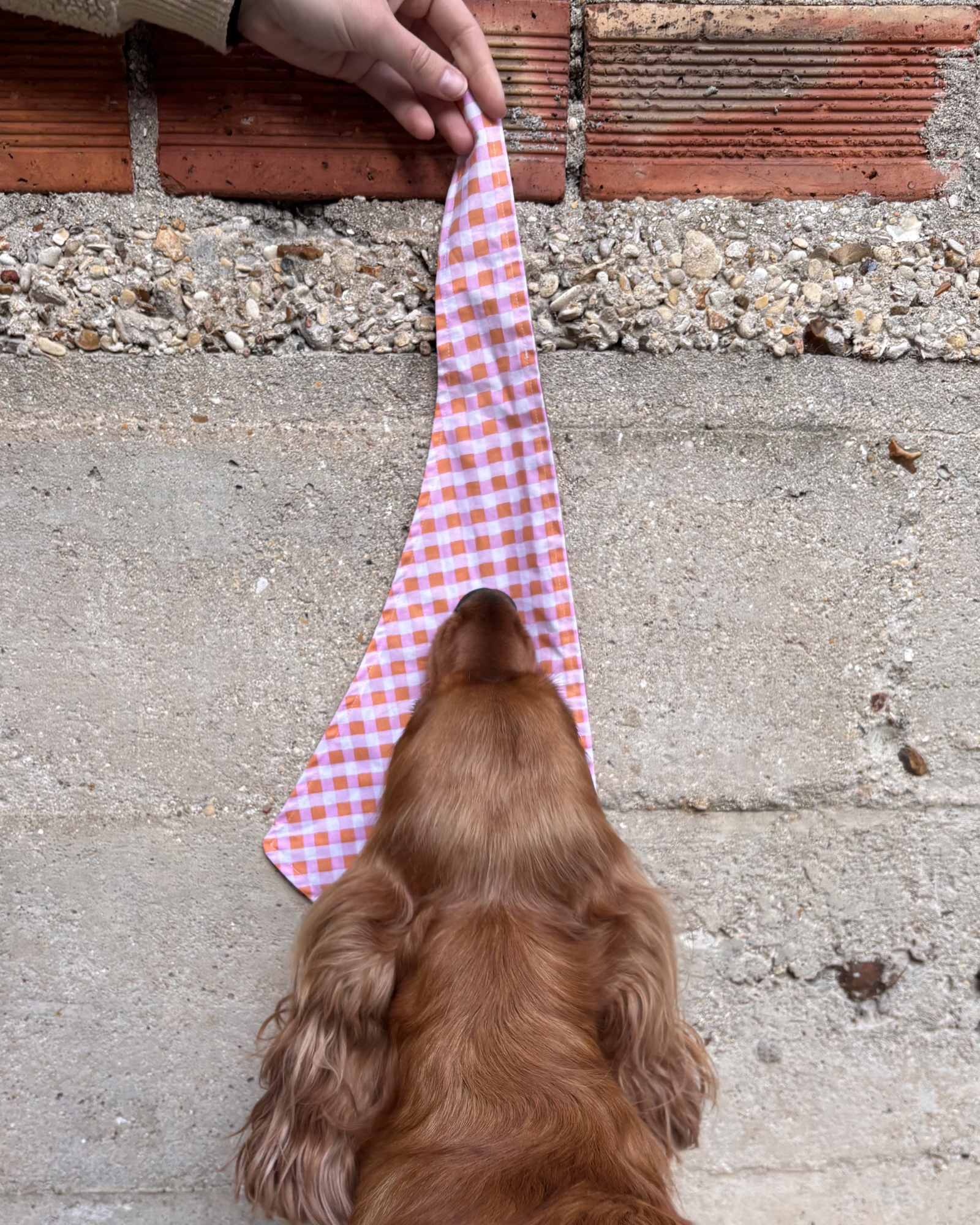 Bandanas reversibles ✨