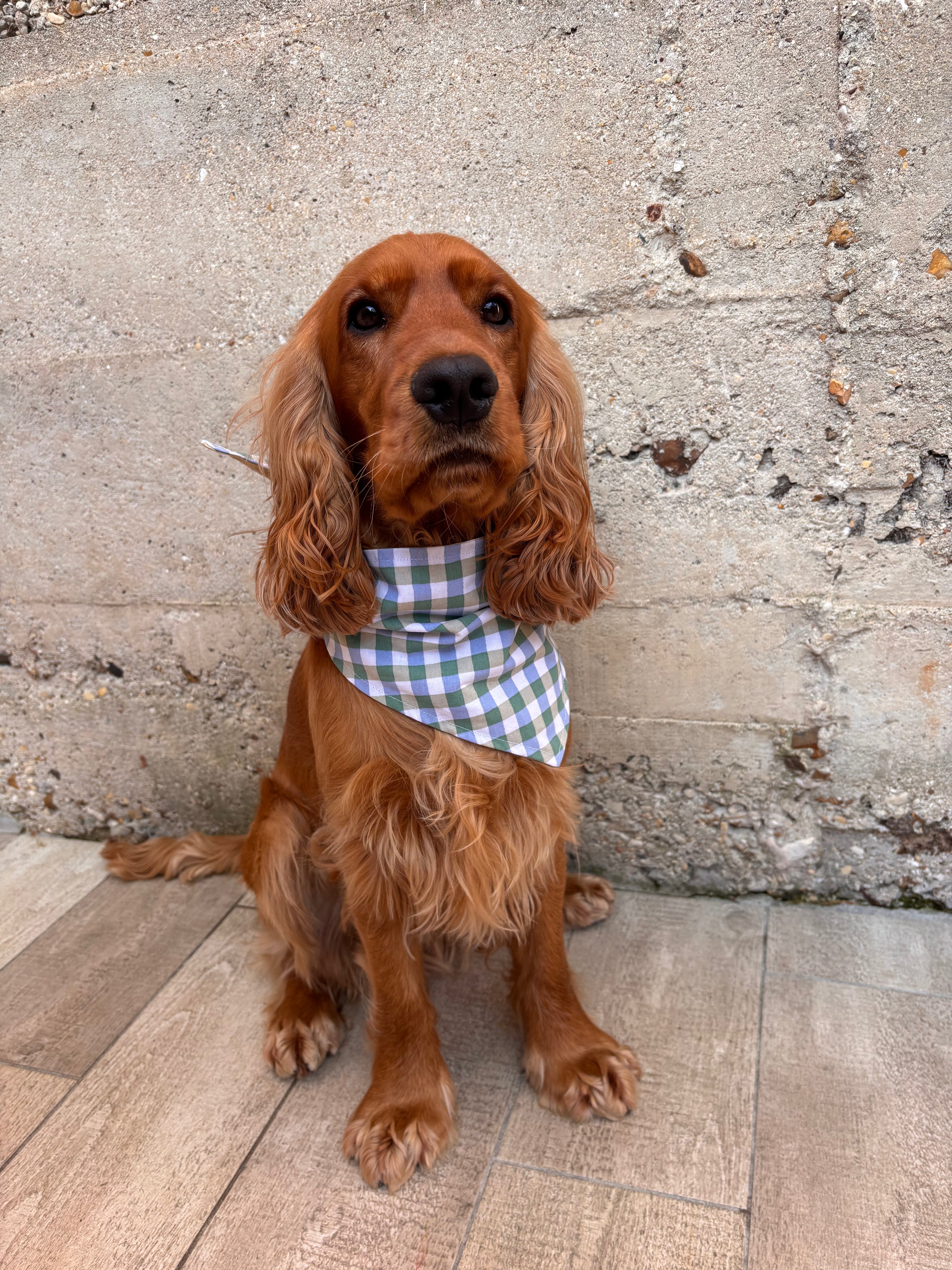 Bandana - Carreaux Vert Bleu / Pois Crème 💚💙💛