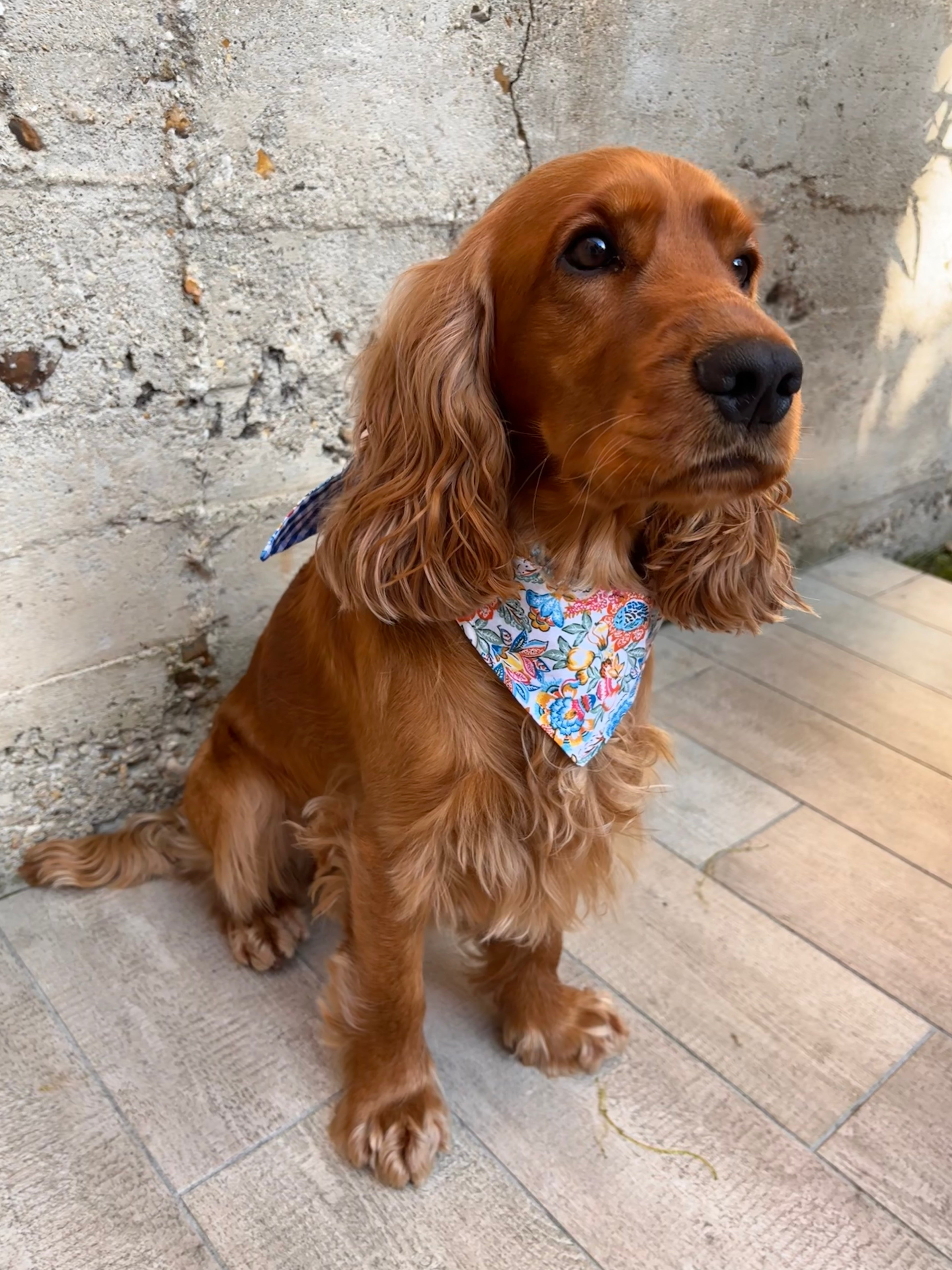 Bandana - Fleur Bohème / Vichy Bleu Marine 🌷💙