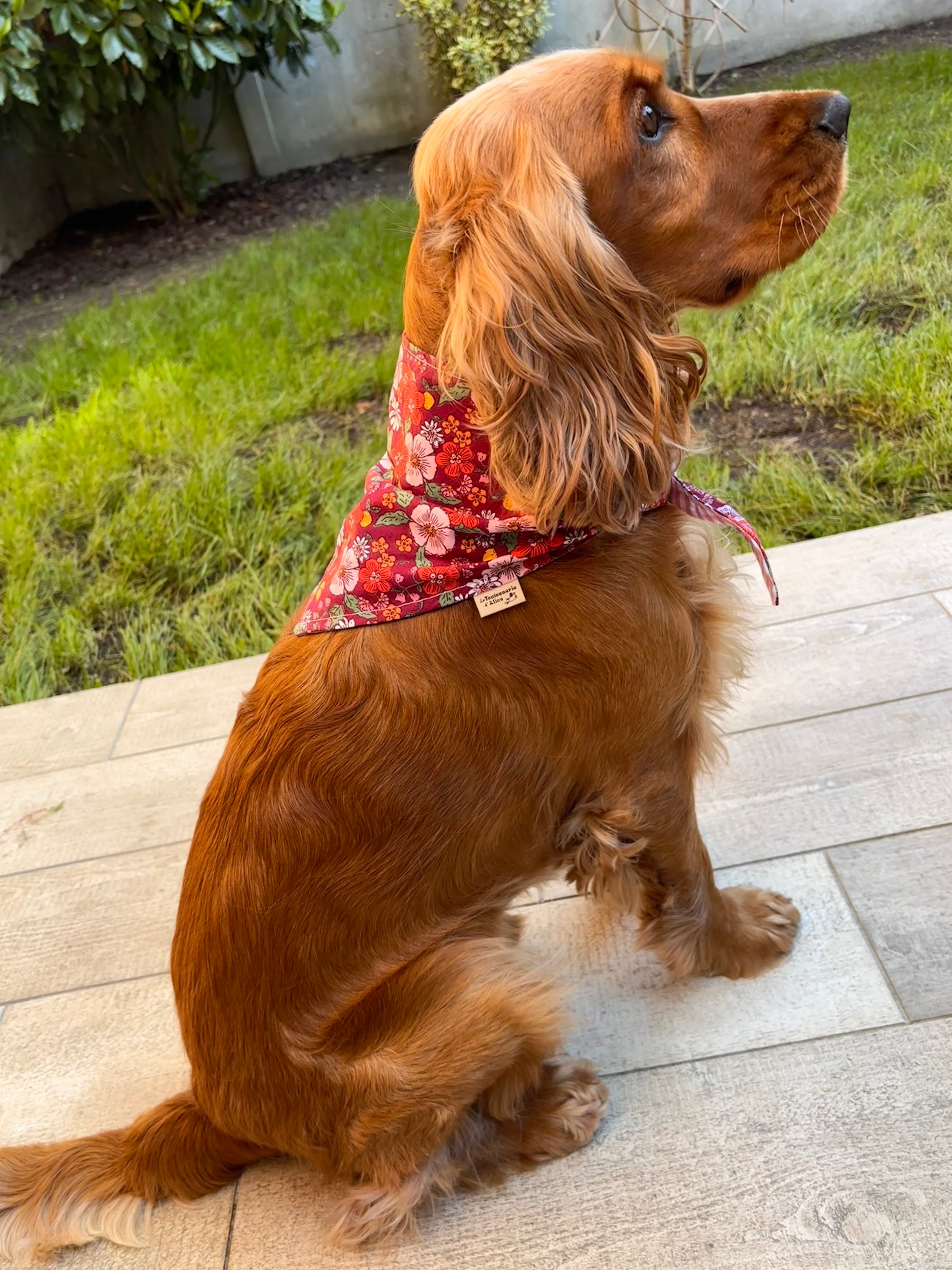 Bandana - Fleur de Cerisier / Vichy Rose 🌸💕