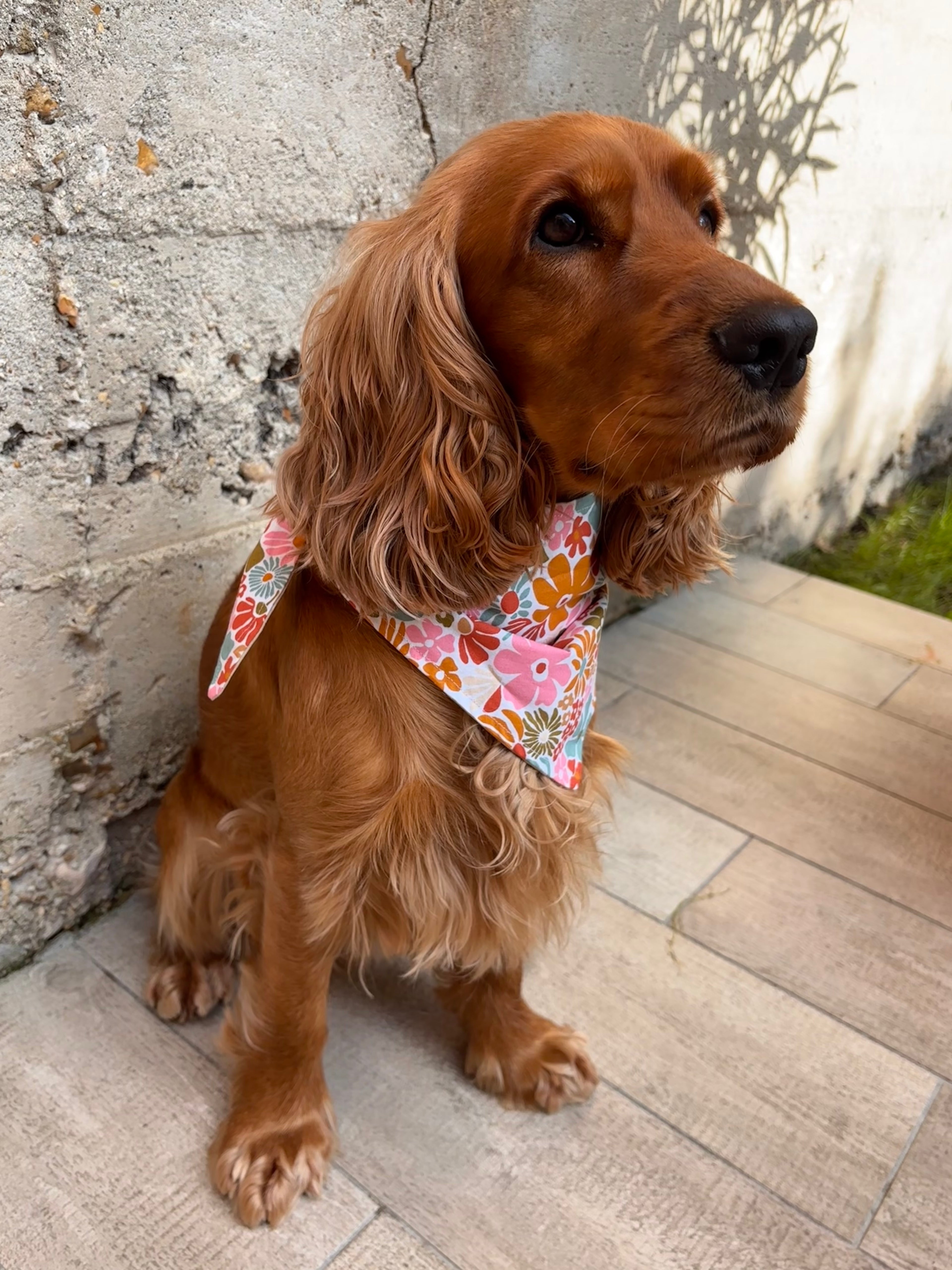 Bandana - Flower Power / Pois Crème 🌼💛