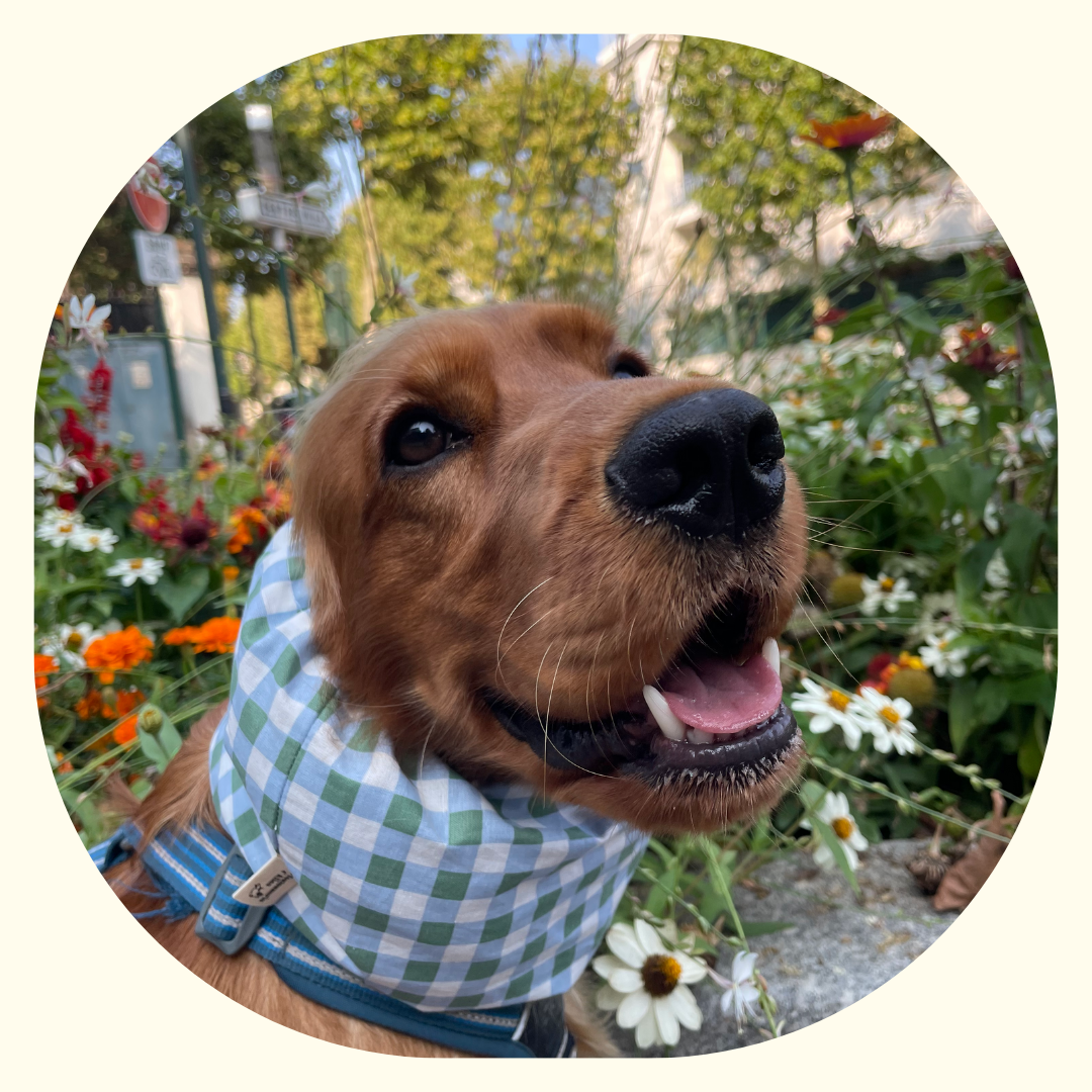 Snood - Carreaux Vert et Bleu 💚💙