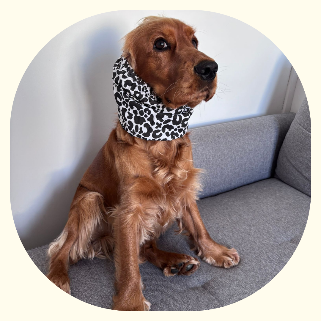 Snood - Léopard Noir et Blanc 🐆