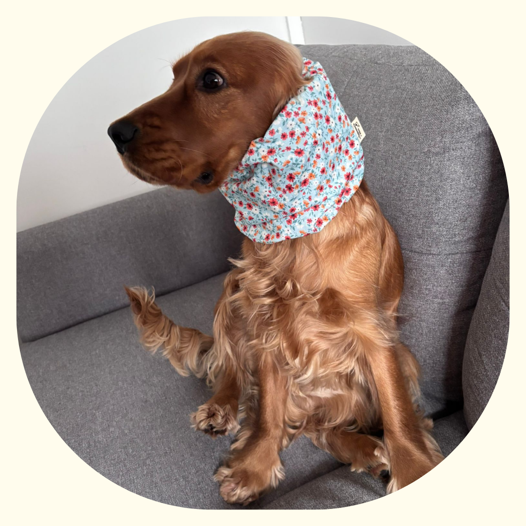 Snood imperméable - Liberty Bleu Ciel🌷