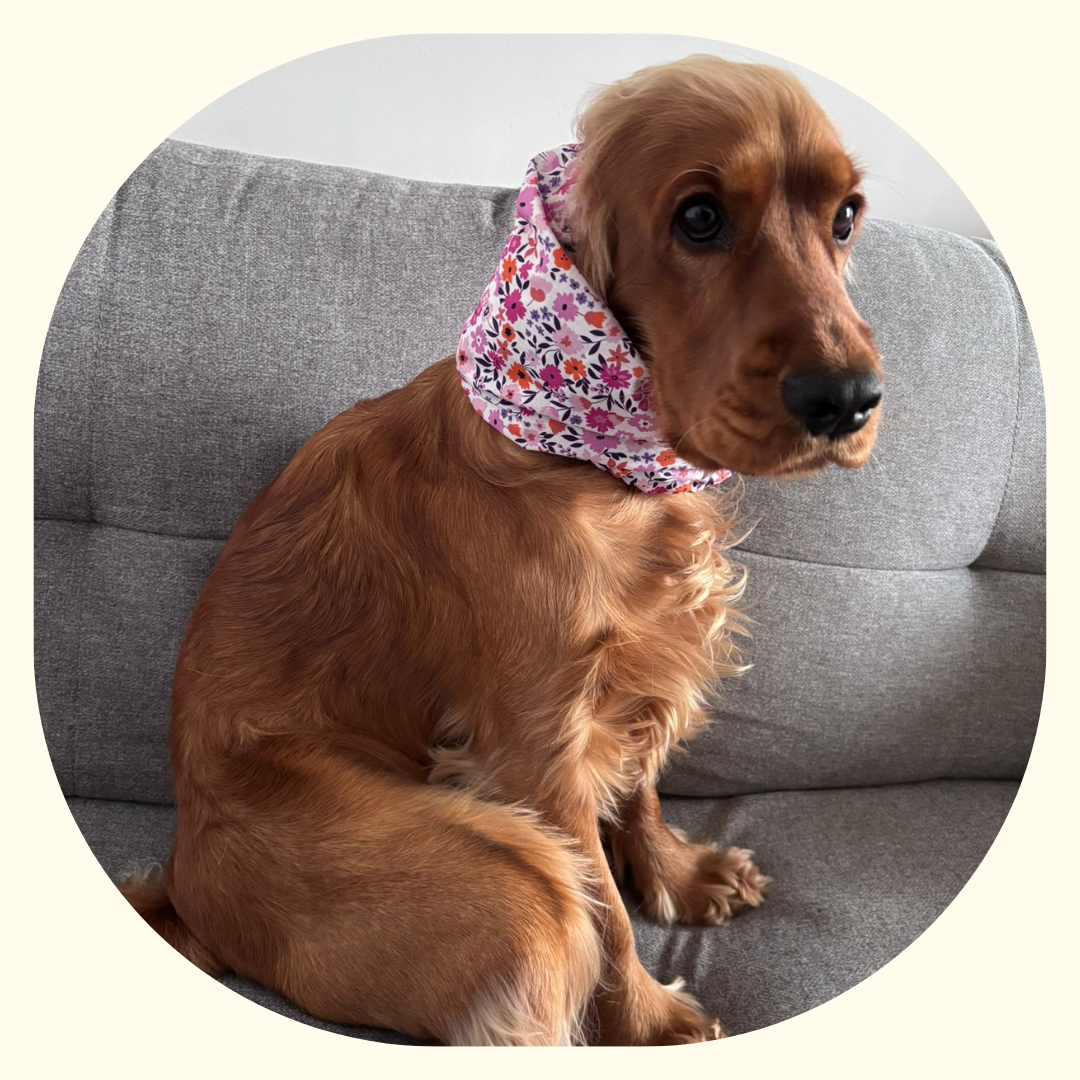 Snood imperméable - Liberty Rose Orange🌷