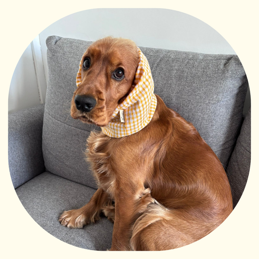 Snood - Vichy Jaune 💛