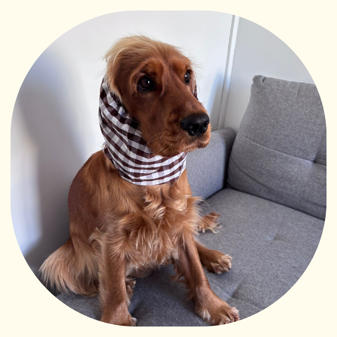 Snood - Vichy Marron 🤎