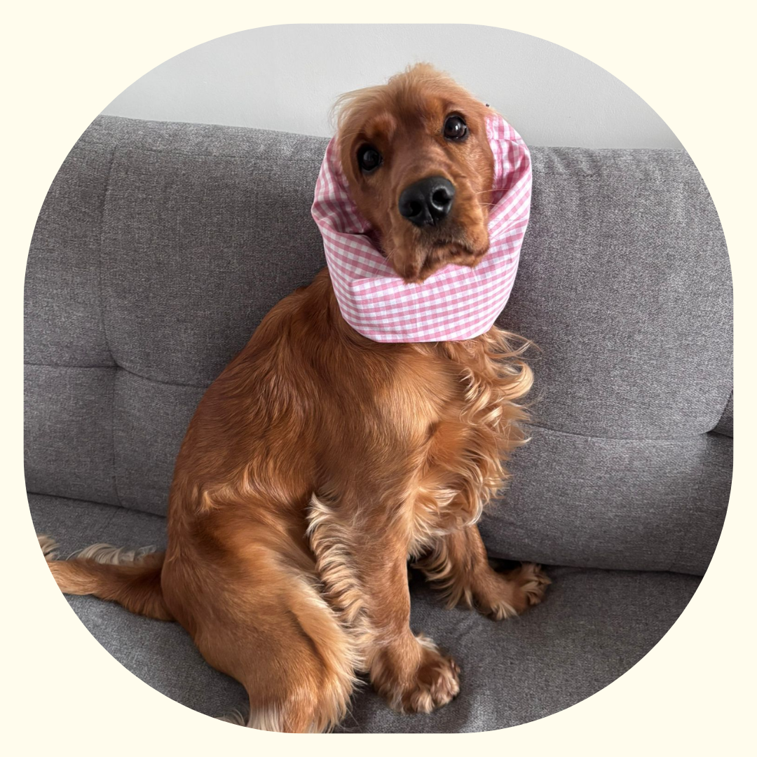 Snood - Vichy Rose 💕