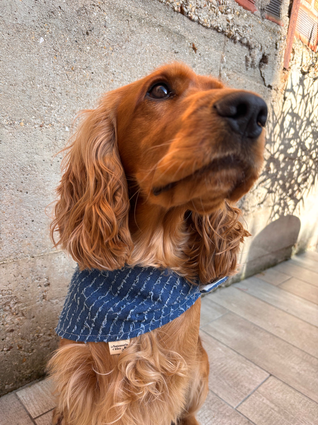 Bandana - Denim Bleu Dur 👖