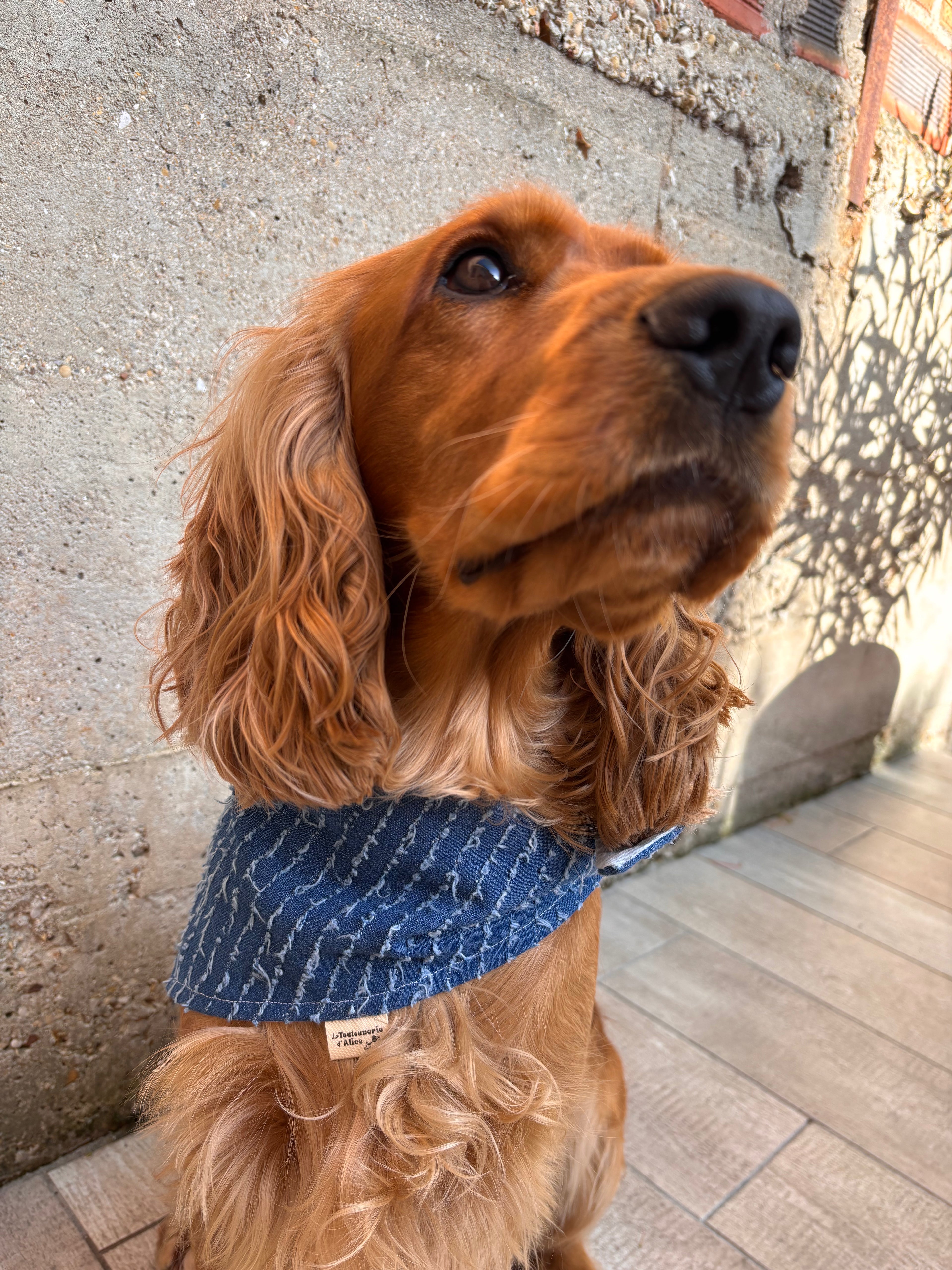 Bandana - Denim Bleu Dur 👖